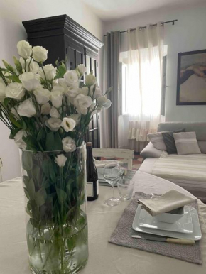 Apartment Luxury Navona